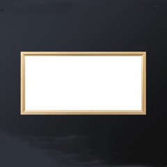 Lumière  de plafond avec source de lumière LED intégrée