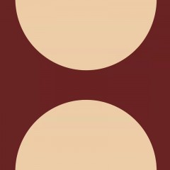 Carreaux bordeaux demi-cercle mat
