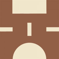 Carreaux français vintage parquet