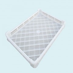 Plateaux en plastique