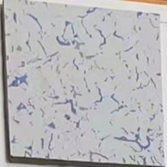 Plancher en céramique antistatique