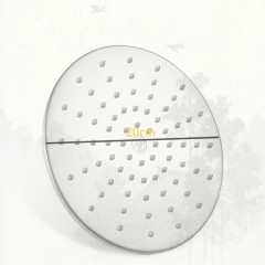 Pommeau de douche pour salle de bain  en acier inoxydable