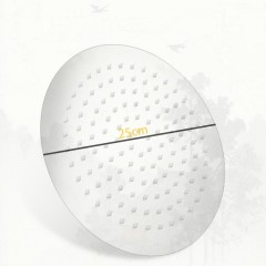 Pommeau de douche pour salle de bain  en acier inoxydable