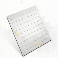 Pommeau de douche pour salle de bain  en acier inoxydable