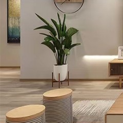 Plinthe en fibre de bois de bambou WPC