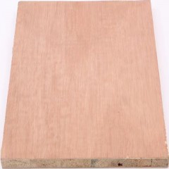 Plancher de menuiserie pour travail du bois