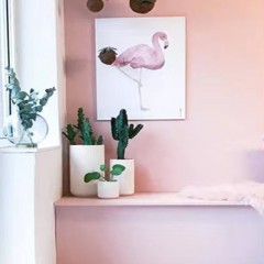 Peinture  au latex anti-moisissure pour Mur intérieur laqué