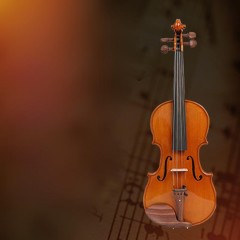 JY-V001 Violon à attelle pour adulte