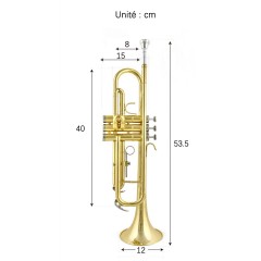 Instrument à vent trompette en or laqué