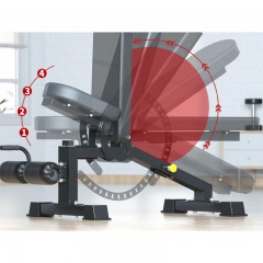 Banc d'haltère  de musculation pliable et multiposition pour salle de sport
