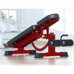 Banc d'haltère  de musculation pliable et multiposition pour salle de sport