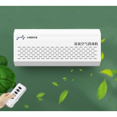 Désinfecteur d'air à l'ozone Montage au mur à Minuterie intelligente Télécommande