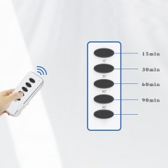 Désinfecteur d'air à l'ozone Montage au mur à Minuterie intelligente Télécommande