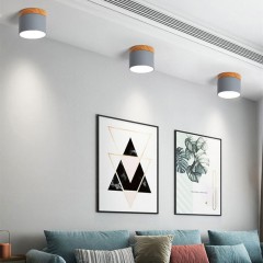 Lumières ampoules  LED décoratives pour maison