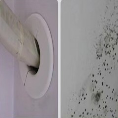 Ciment blanc 325 Silicate pour murs intérieur