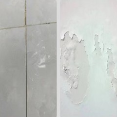 Ciment blanc à base de silicate