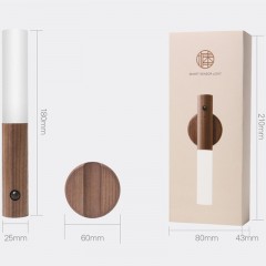 Lumière à induction LED Smart rechargeable et fixable