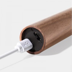 Lumière à induction LED Smart rechargeable et fixable