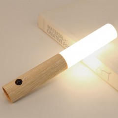 Lumière à induction LED Smart rechargeable et fixable