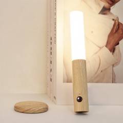 Lumière à induction LED Smart rechargeable et fixable