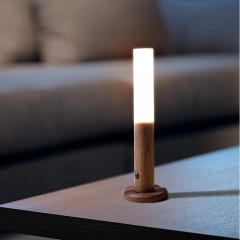 Lumière à induction LED Smart rechargeable et fixable