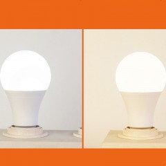Ampoule LED à économie d'énergie