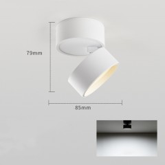 Projecteur LED pour la maison