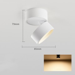 Projecteur LED pour la maison