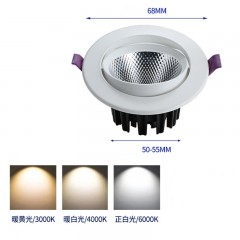 Lumières intégrées LED ampoules décoratives pour maison