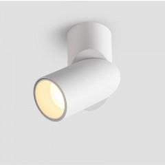 Projecteur LED  à usage domestique