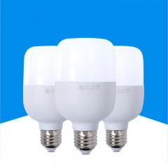 Ampoules LED Lampes à économie d'énergie avec  Haute puissance Triple protection