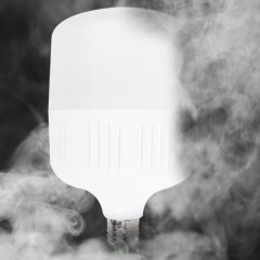 Ampoule LED à économie d'énergie domestique mise en évidence