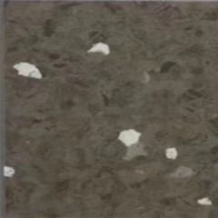 Plancher en caoutchouc Plancher en PVC résistant à l'usure