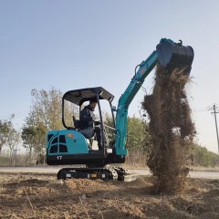 Petit Excavateur domestique