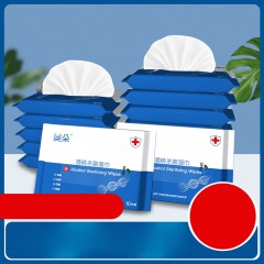 Lingettes désinfectantes à l'alcool 75 degrés Sachet de 10