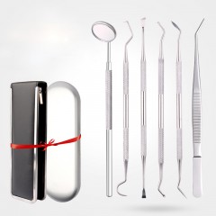 Outils dentaires Set de 6 pièces en acier inoxydable boîte en fer