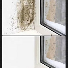 Mastic pour murs intérieurs