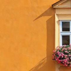 Peinture à eau au latex mur extérieur