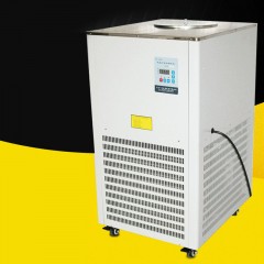 Pompe de circulation de liquide de refroidissement à basse température Contrôle intelligent de la température 5L Acier inoxydable