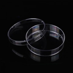 HD boîte de Pétri plastique jetable transparent 60mm