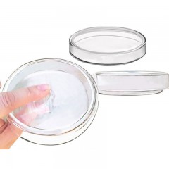WUYI Boîte de Pétri en verre  résistant aux hautes températures et transparent 75mm