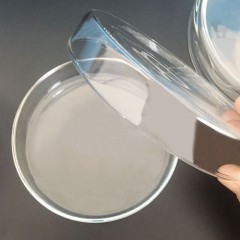 WUYI Boîte de Pétri en verre  résistant aux hautes températures et transparent 75mm
