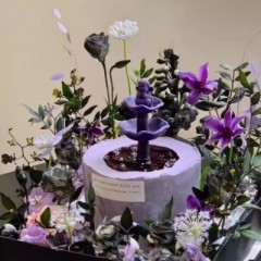 Plant violet en pot