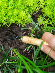 Kit d'outils de jardinage