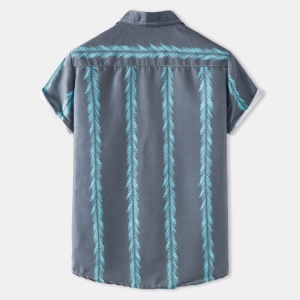 Ensemble chemise + bermuda