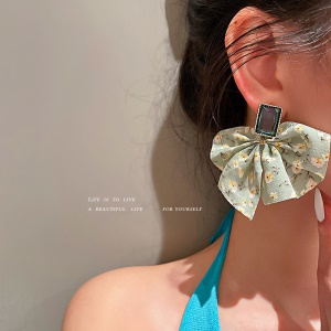 Boucles d'oreille à clou