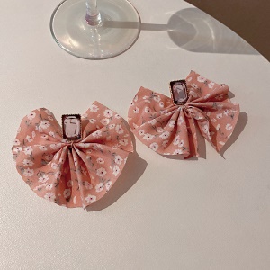 Boucles d'oreille à clou