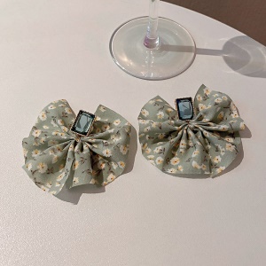 Boucles d'oreille à clou