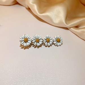 Ensemble de Boucles d'oreille et épingle à cheveux et collier