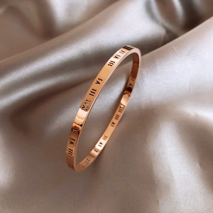 Bracelet en titane et acier